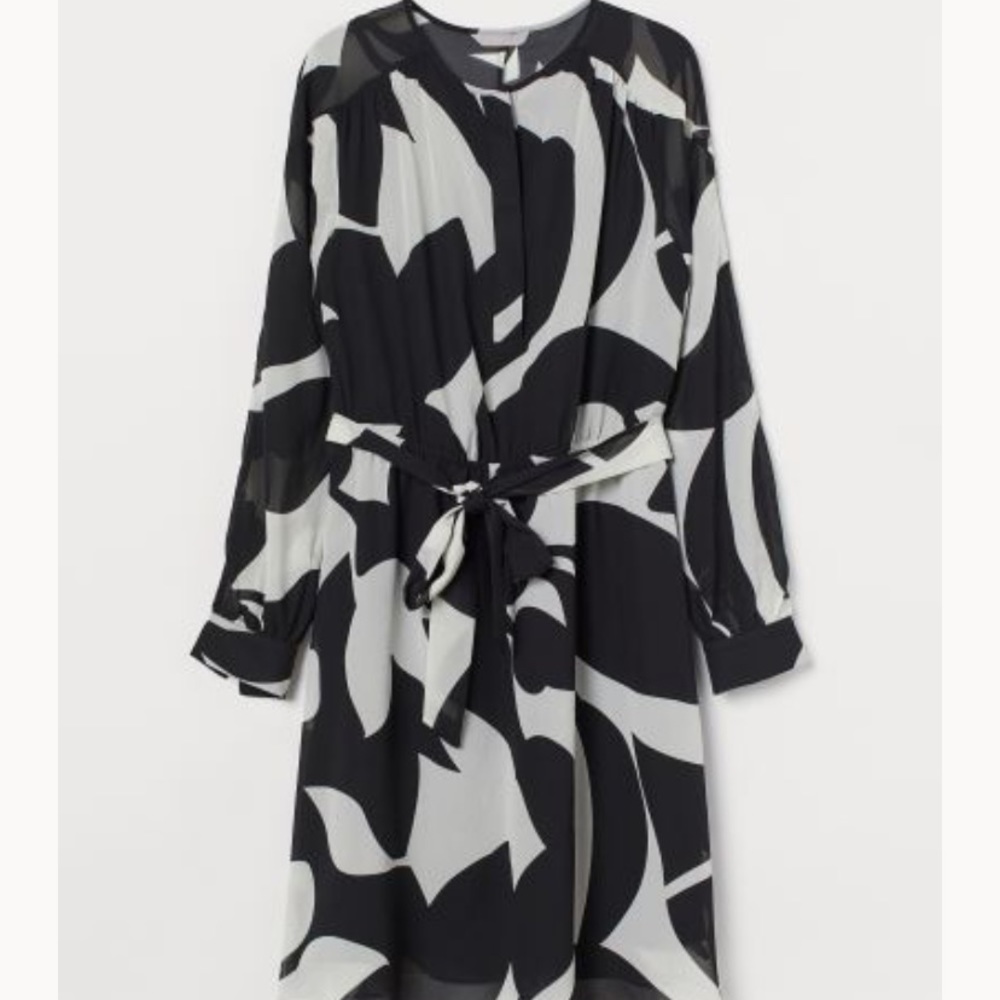 H&M Chiffon Dress NWT